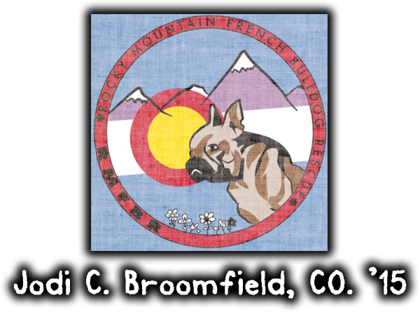 rocky mountain french bulldog rescue jodi cohen broomfield colorado 2015