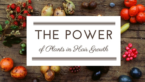 The_Power_of_Plants_for_Hair_Growth