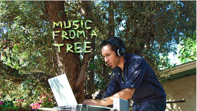 Music-from-trees