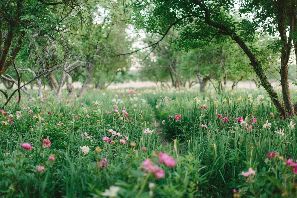 La Resolana Farm in Pueblo, Colorado