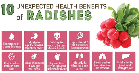 health benefits of radishes infographic