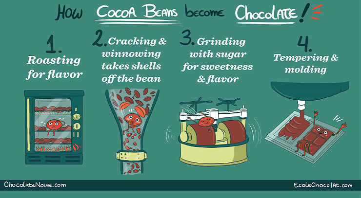 How Cocoa Becomes Chocolate