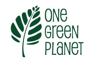 One Green Planet