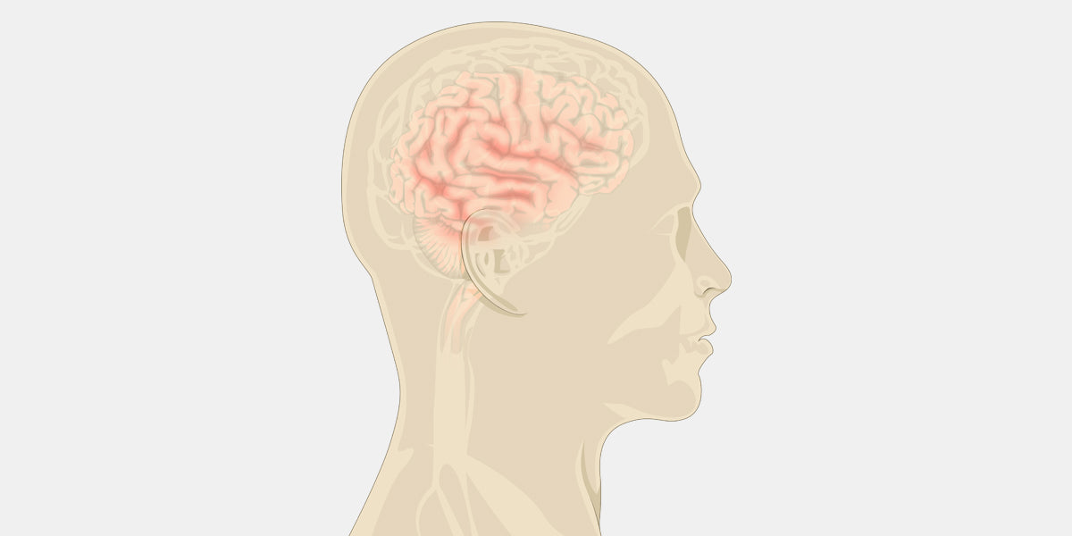 Alzheimer's Disease Illustration