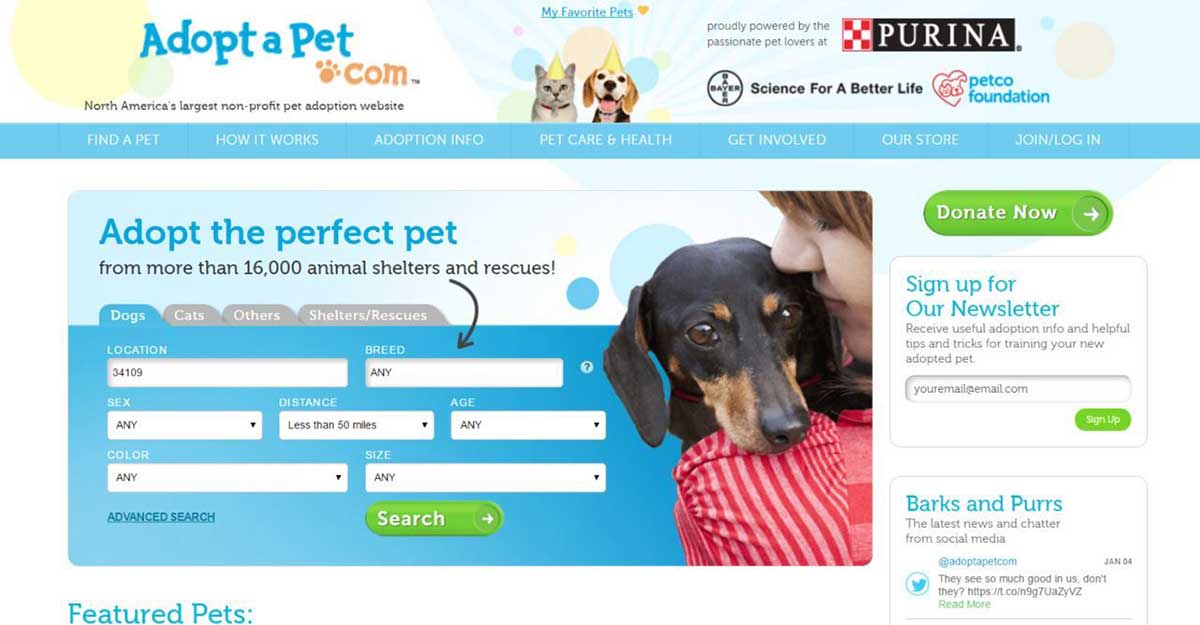 adopt a pet homepage