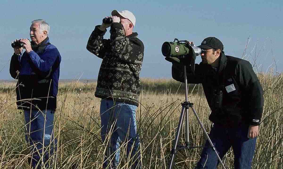 three men birdwatching