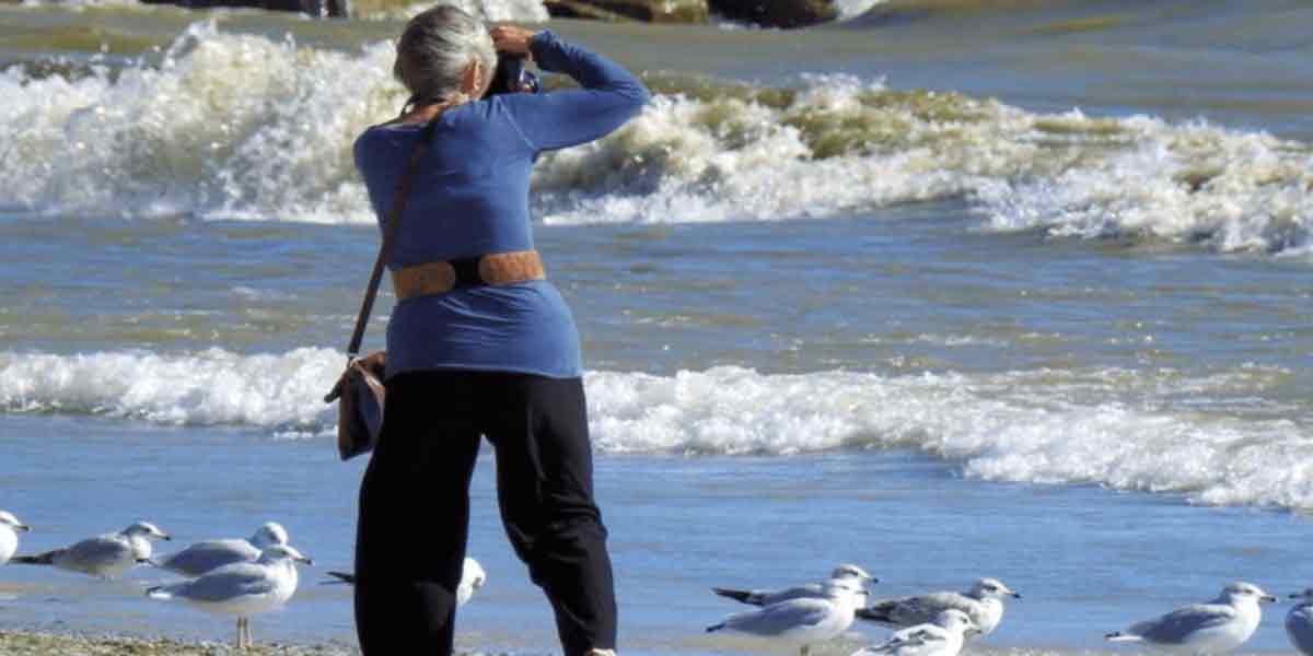 woman taking picture of ocean and birds