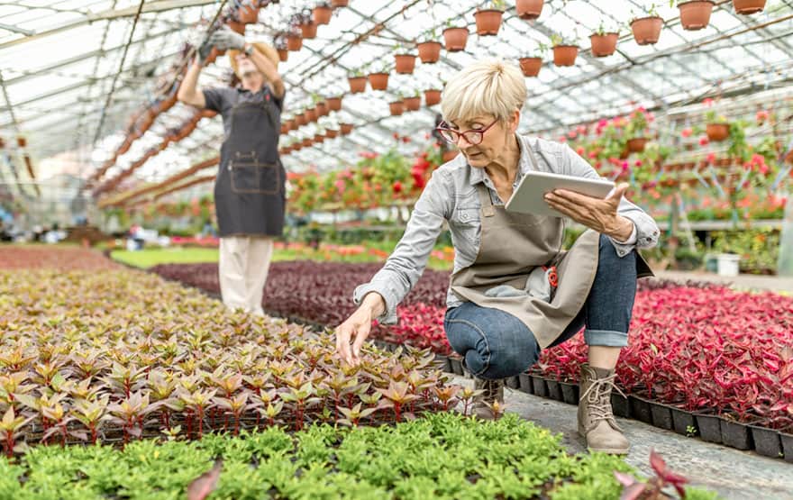 senior working in garden