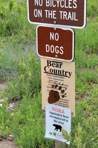 Bear country notice