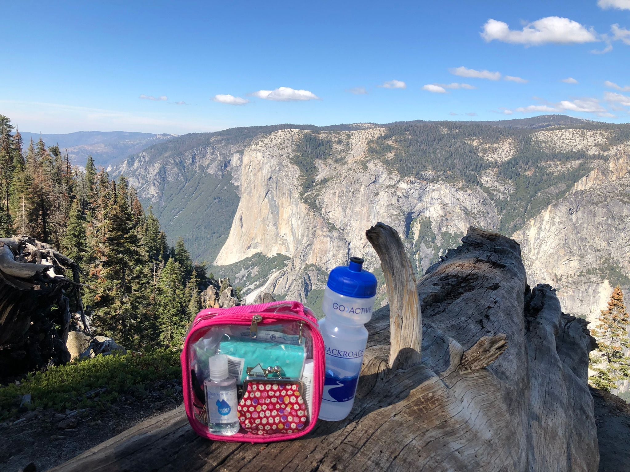 Extra small cube and water bottle on a log