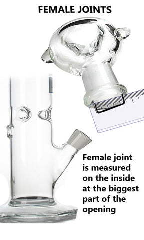 Female Joint Glass Bong
