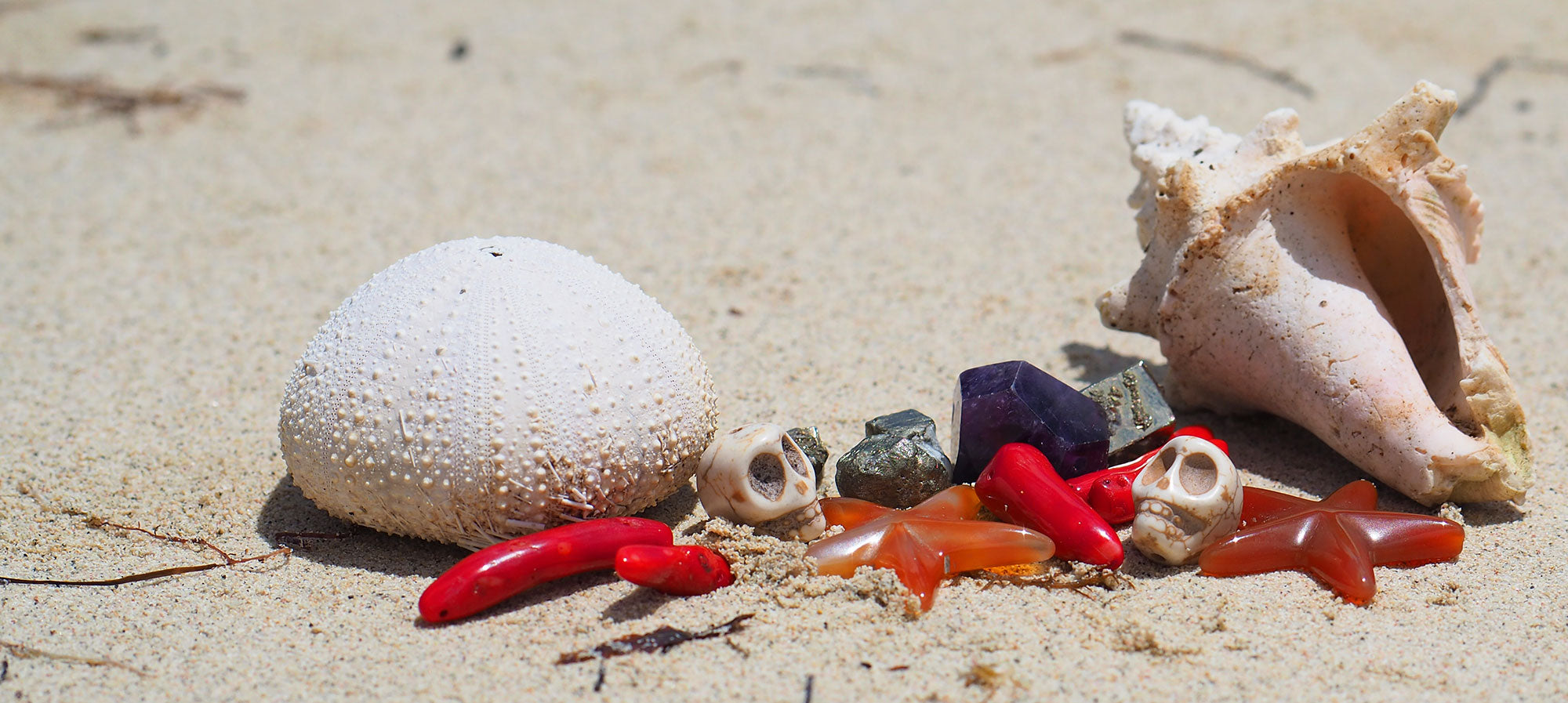 surlestoitsdeparis - nature morte - plage