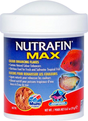 Nutrifin max fish food