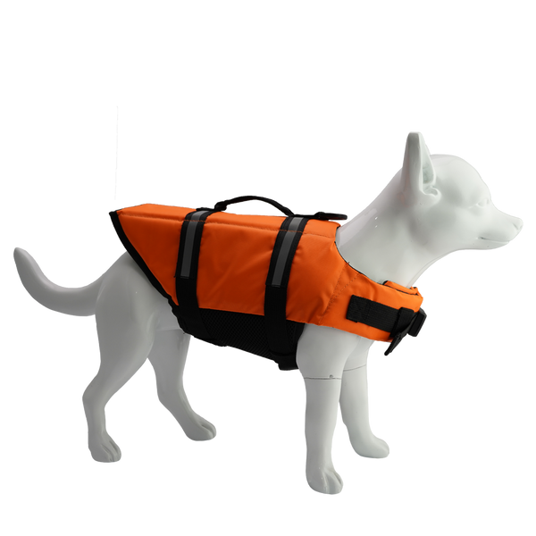 black dog life jacket