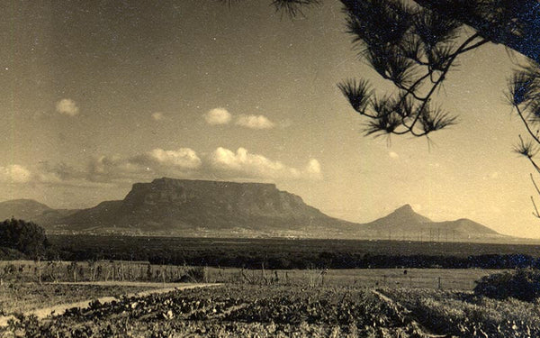 De Grendel Table Mountain