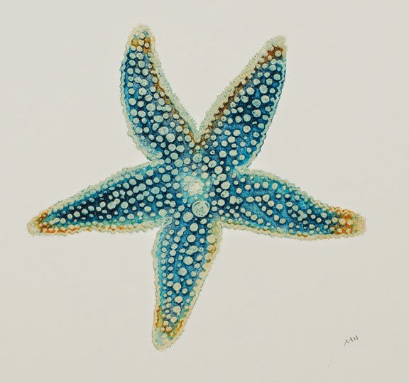 blue starfish art