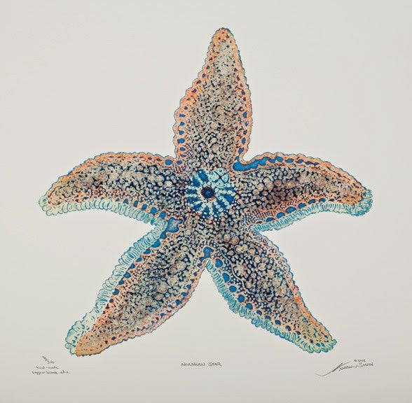 blue starfish art