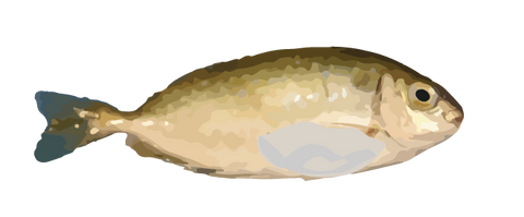 Dishthefish Rabbitfish Milt