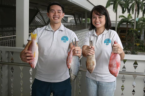 Straits Times - Digital strategy nets fish retailer bigger catch ( Dishthefish )