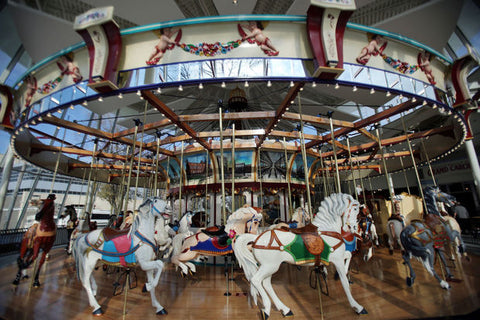 Western Reserve Historical Society Euclid Beach Carousel