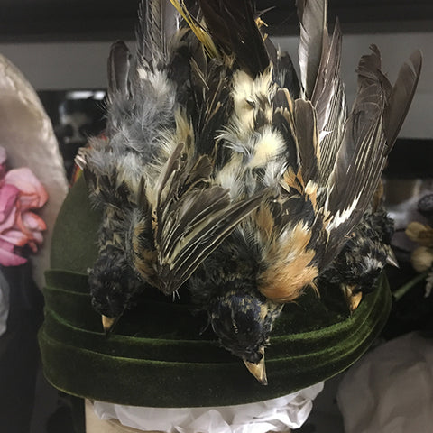 Bird hat WRHS collection