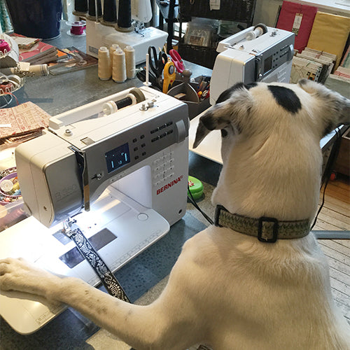 dog sewing handade ribbon dog collar
