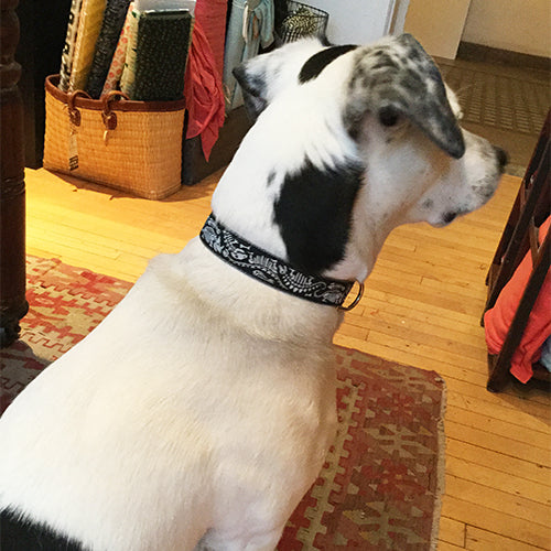 handmade ribbon dog collar