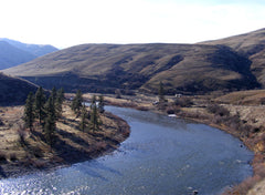 Fly Fishing for Steelhead on the Grande Ronde River 