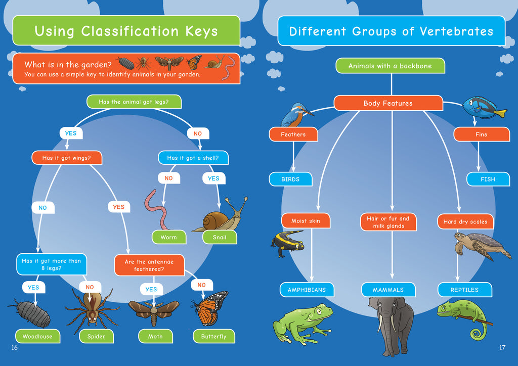 KS2 Biology Living Things & Their Habitats Resources For Dyslexics