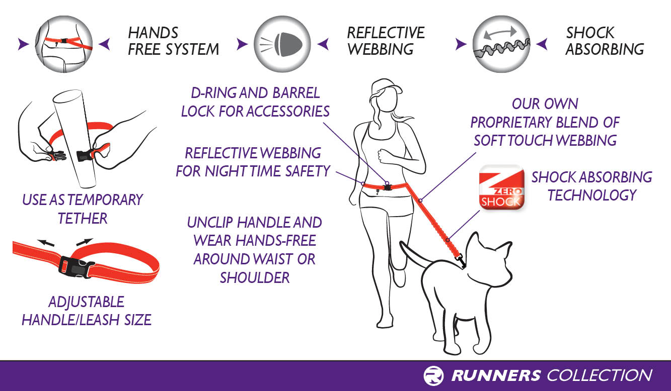 Running Dog Leash with Bungee Technology for Hands Free Leash