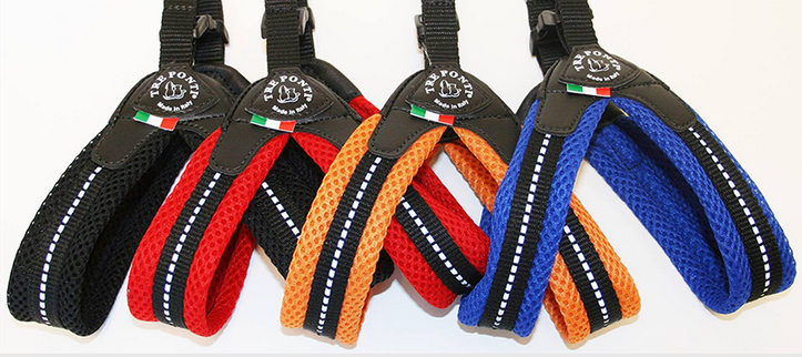 buckle dog harness