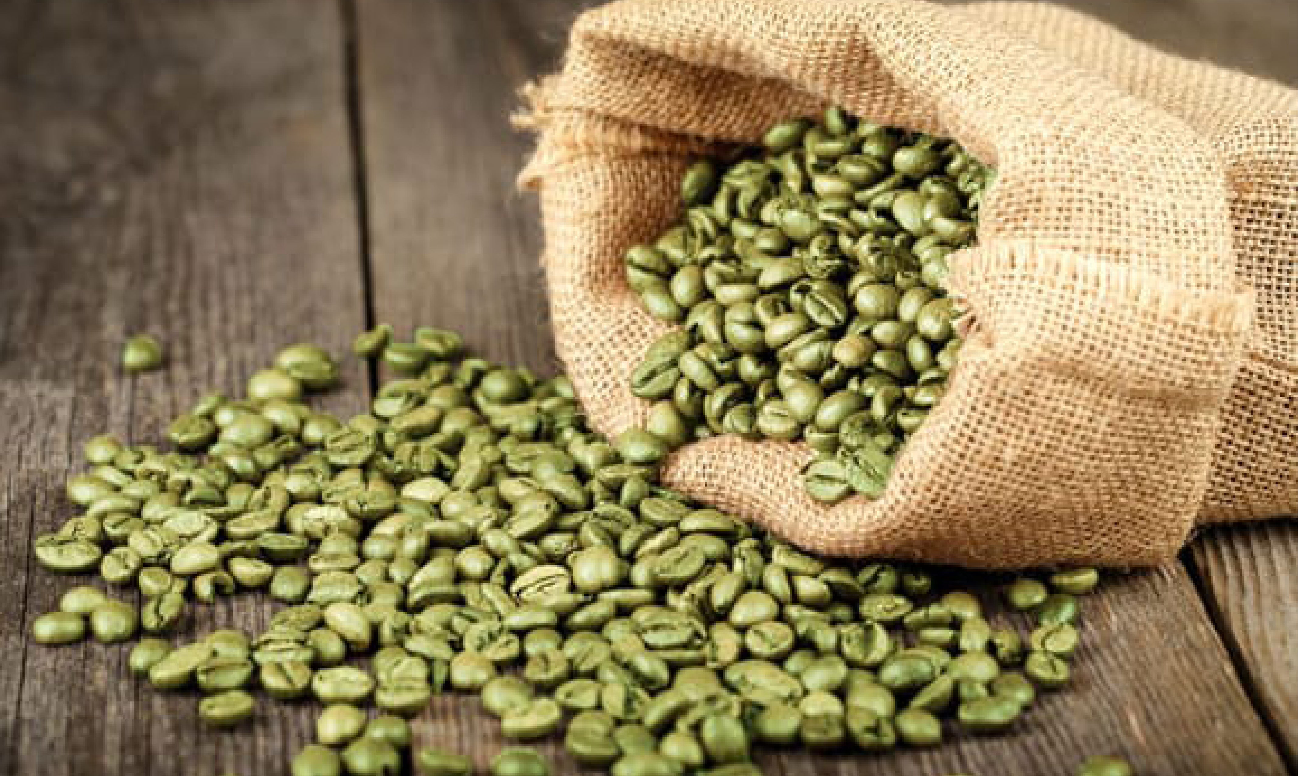 benefits of green coffee bean