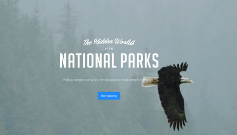 Standard Lifewear National Park Tour With Google