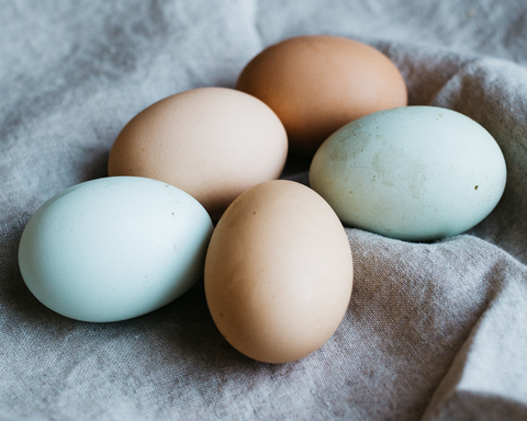 Eggs are high quality, complete proteins (contains all 20 amino acids our bodies need).
