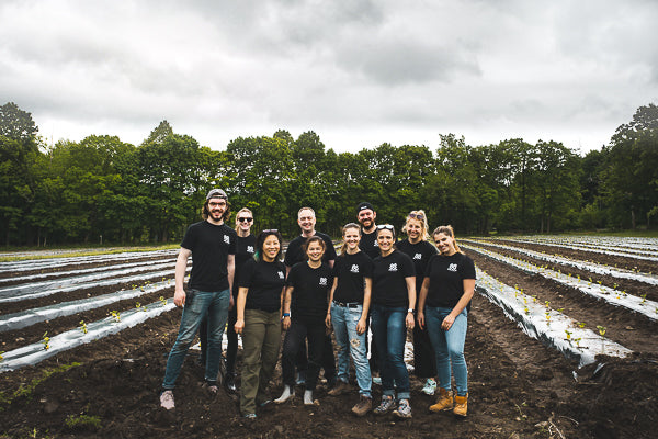 88 Acres team standing in front of rows of kabocha squash they just planted. 