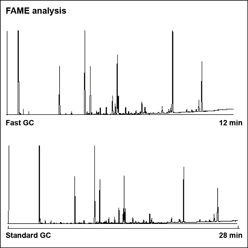 Fatty acid methyl esters (FAMEs) analysis