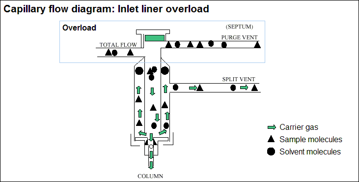 Capillary flow diagram: Inlet liner overload