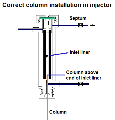 Correct column installation in injector