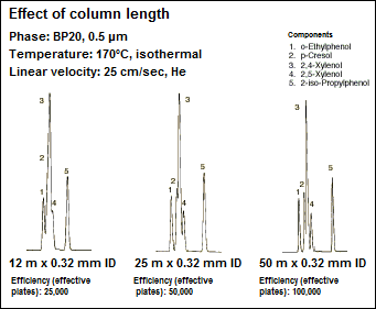 Effect of column length