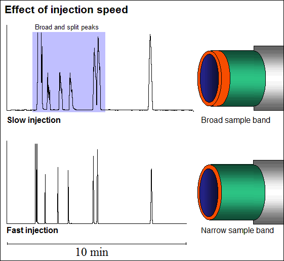 Effect of injection speed - slow injection, broad sample band; fast injection, narrow sample band