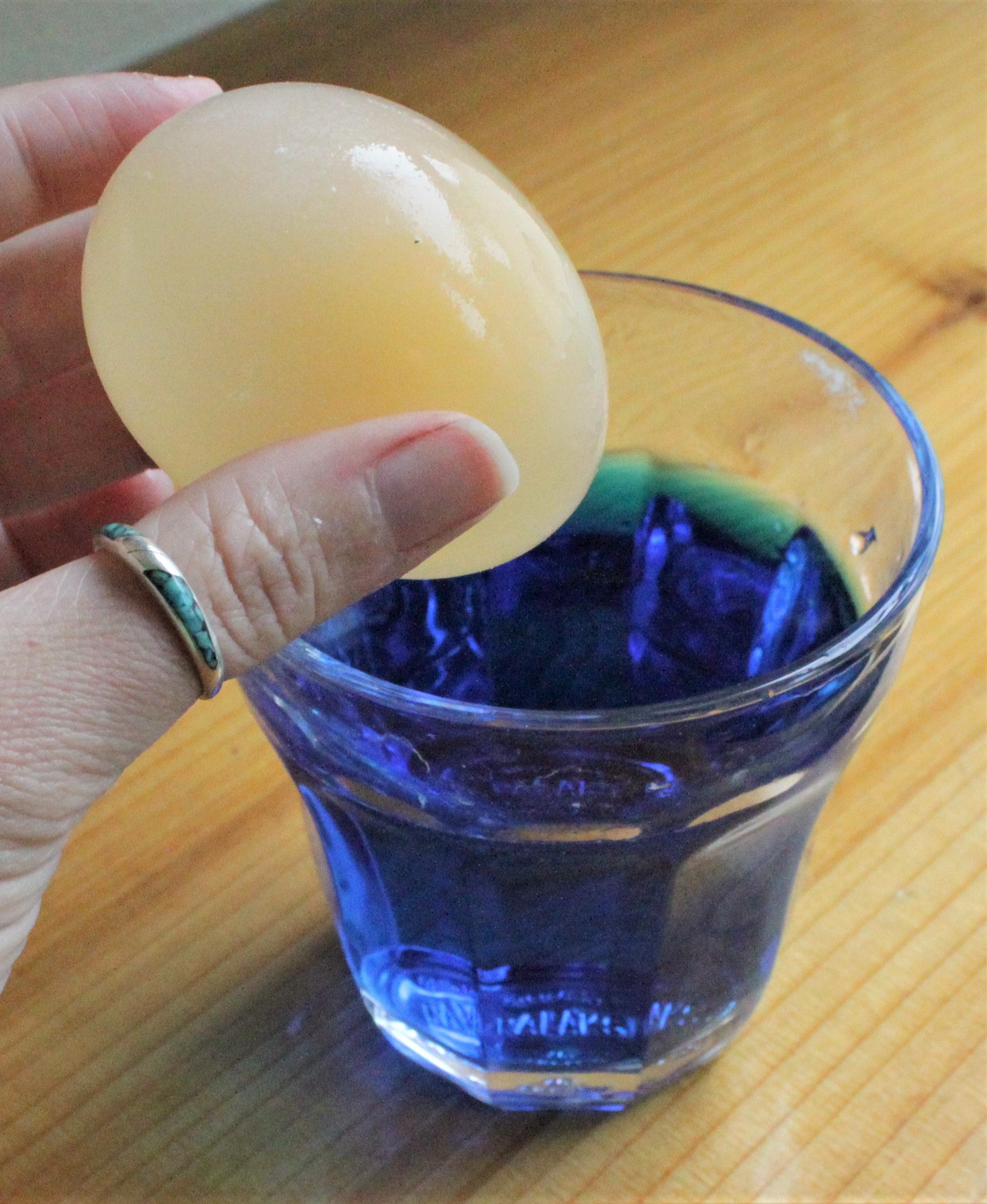 naked egg in water | Yellow Scope 20 Minute Labs