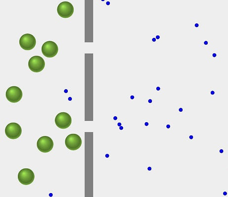 semipermeable membrane | Yellow Scope