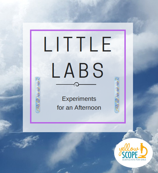 little labs logo