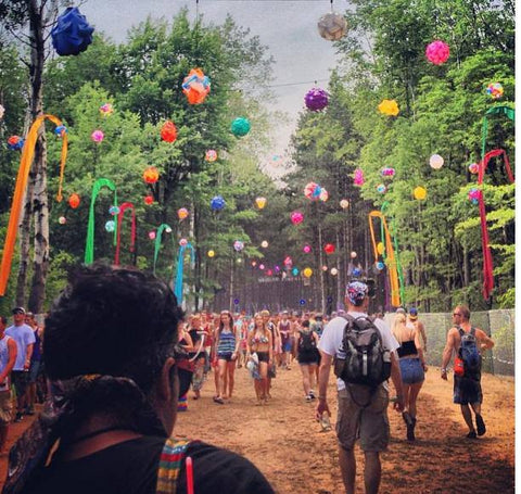 Electric Forest 3