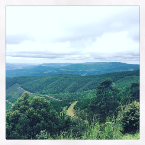 Long tom pass