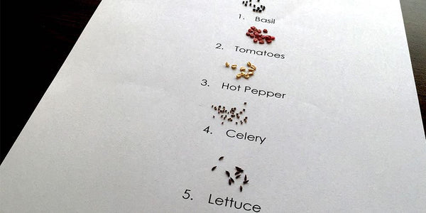 Different seeds to choose from