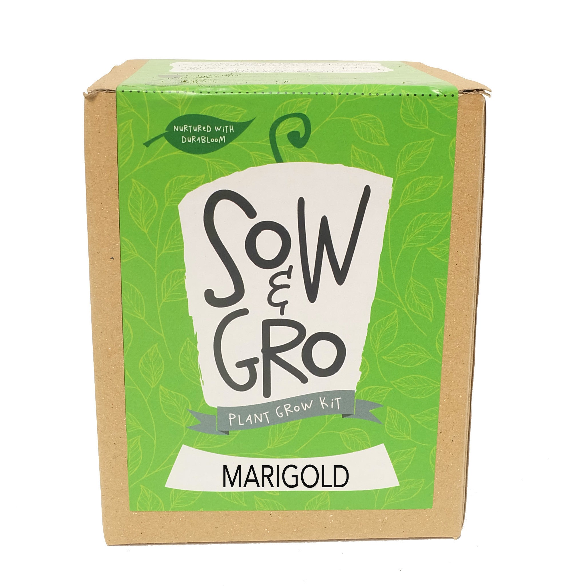 marigold grow kit