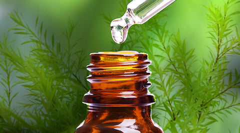 Essential Oils by Aroma360