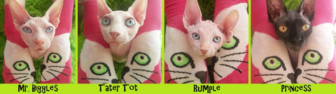 Do Sphynx Cats and Kittens need to wear clothes.  Sphynx Clothes. Sphynx kitten clothes.  Cat Clothes