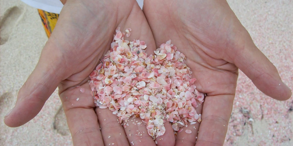 Red shells from a certain algae lend this sand a pretty pink hue